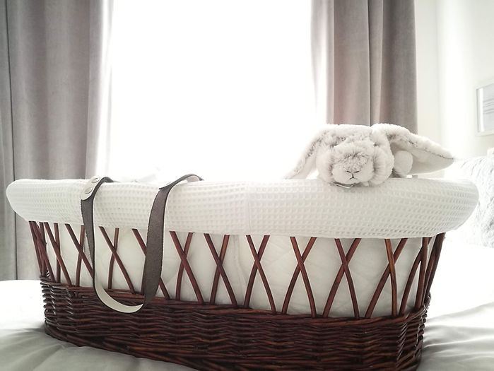 Newborn moses basket on a bed